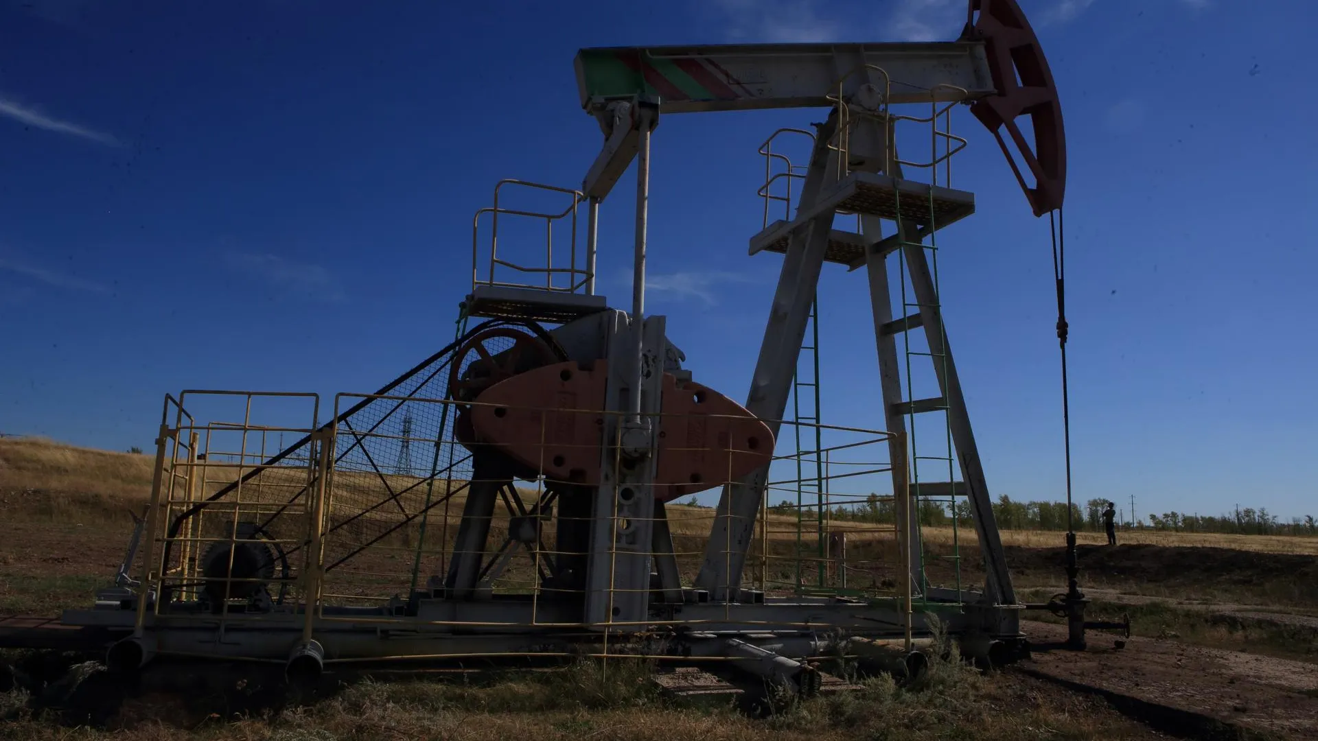 Zamir Usmanov/Global Look Press