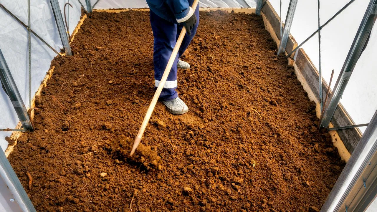 istockphoto.com/Sergei-Q