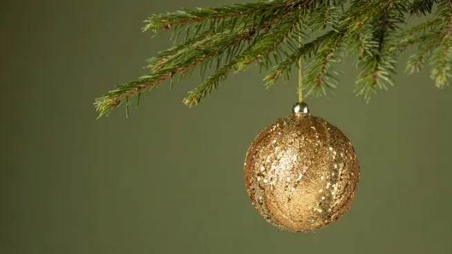 Фото: ru.freepik.com