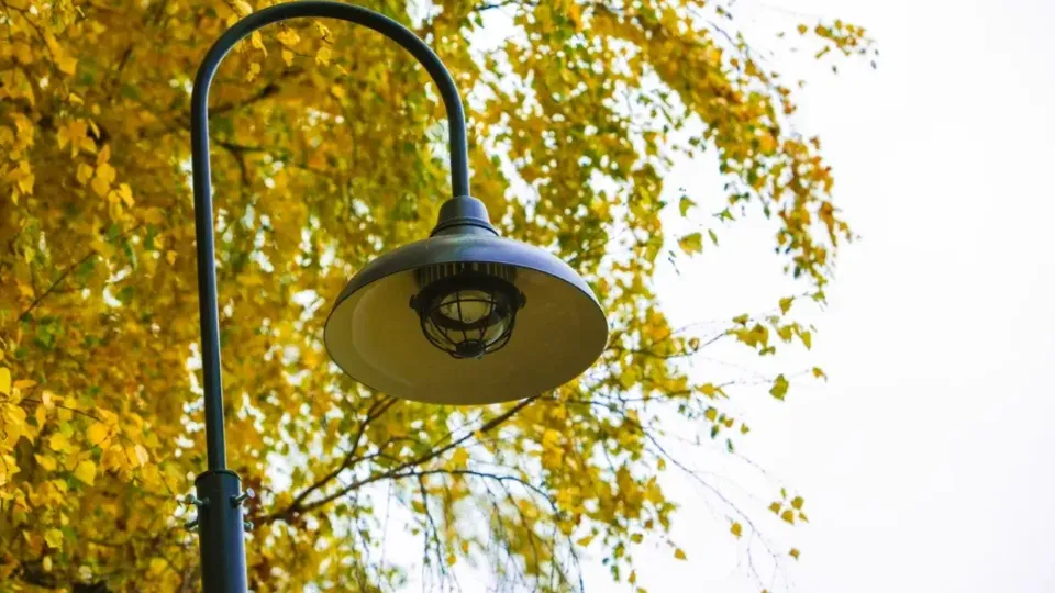 Фото: Министерство благоустройства Московской области