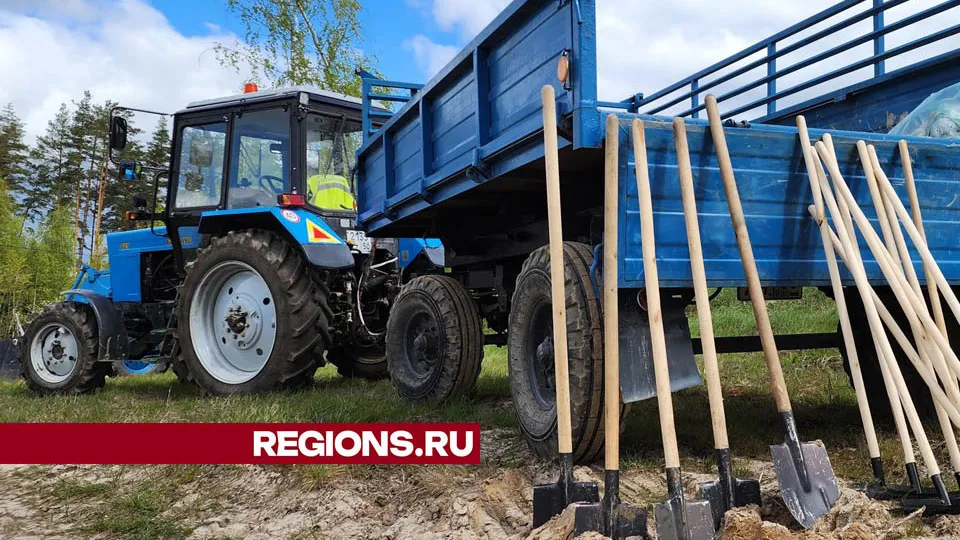 Фото: Валерия Тингаева