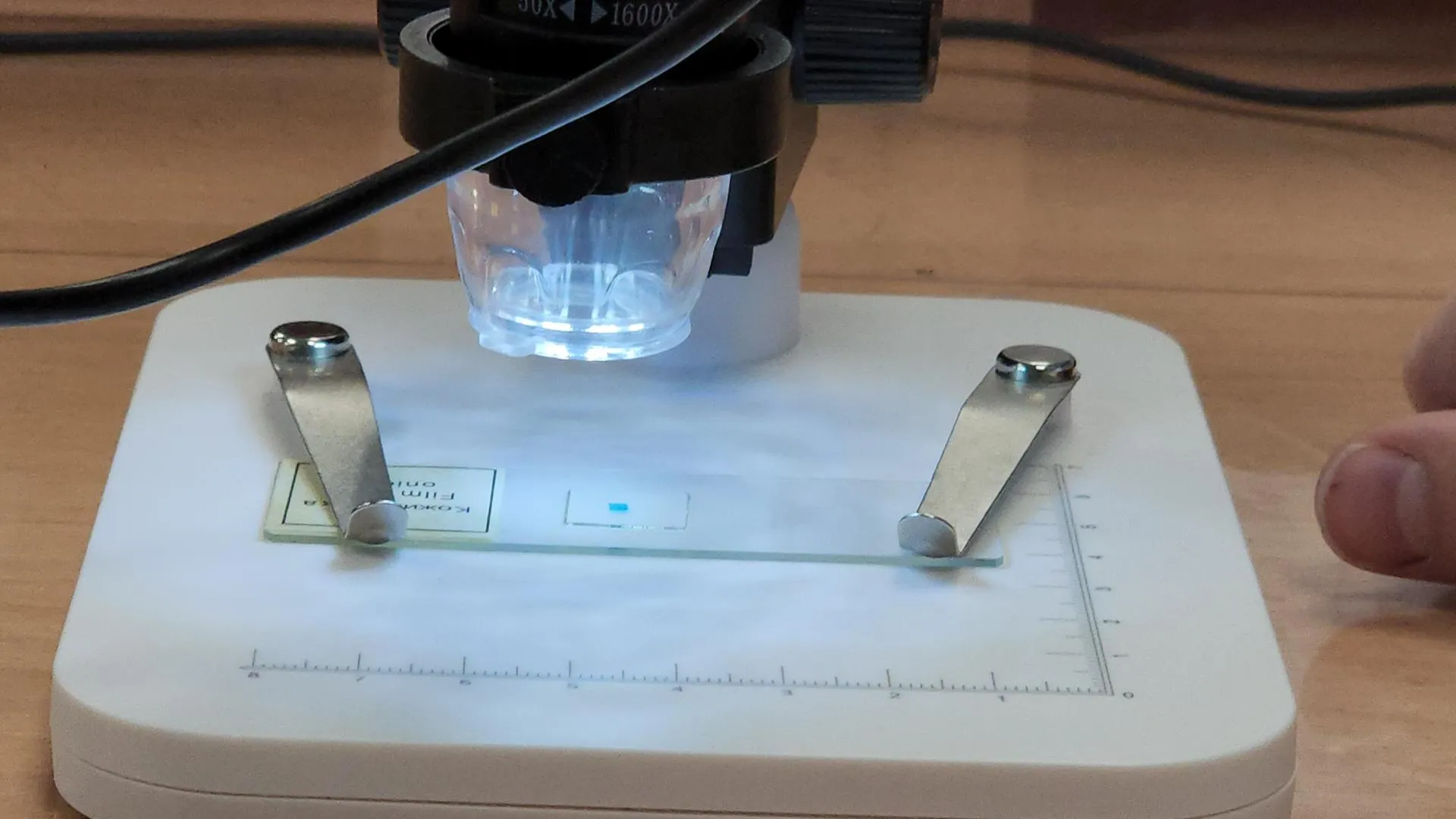 МедиаБанк Подмосковья/Андрей Алекин