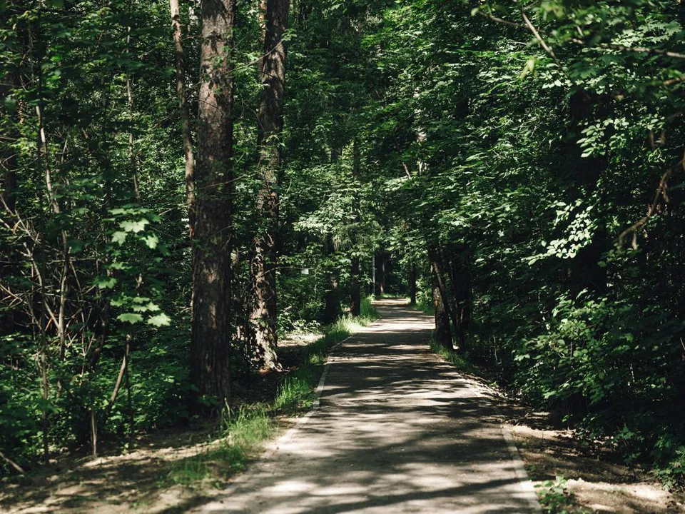 Фото: пресс-служба администрации г.о. Щелково