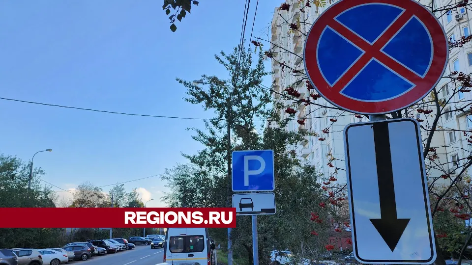 Фото: Никита Сморкалов