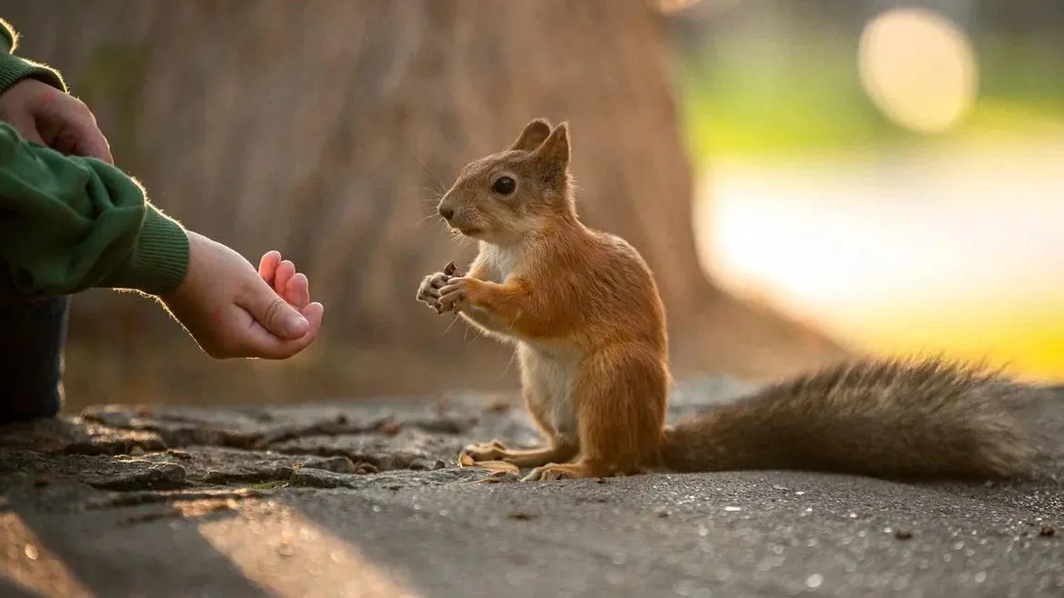 Министерство культуры и туризма МО