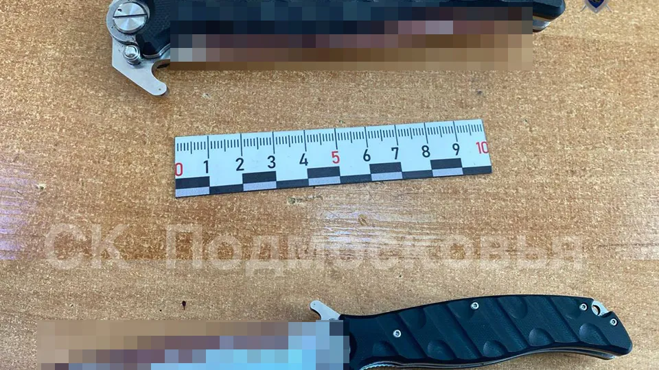 Фото: t.me/gsuskmosobl