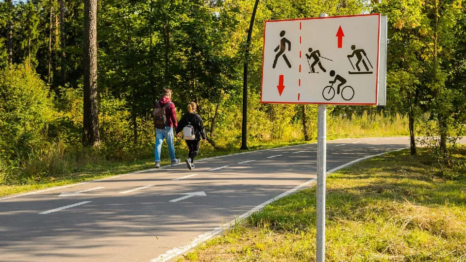 Фото: Медиаархив Подмосковья