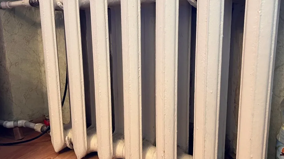 Фото: МедиаБанк Подмосковья/Ирина Мальцева