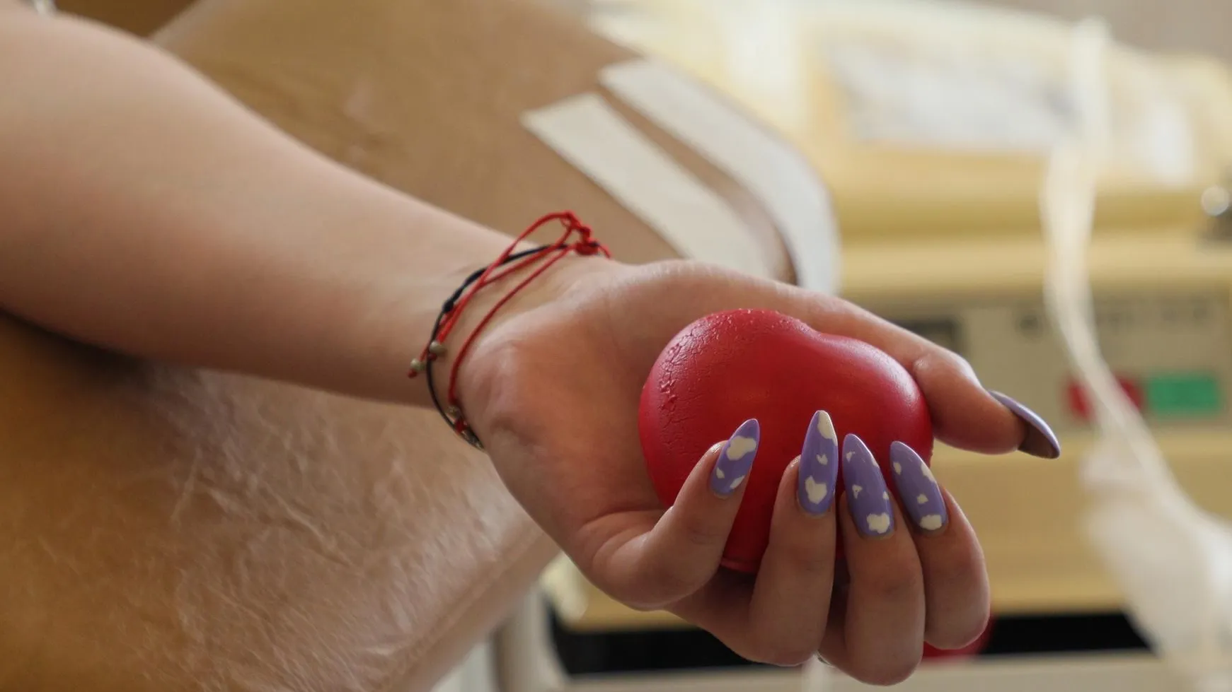 Фото: Министерство социального развития МО