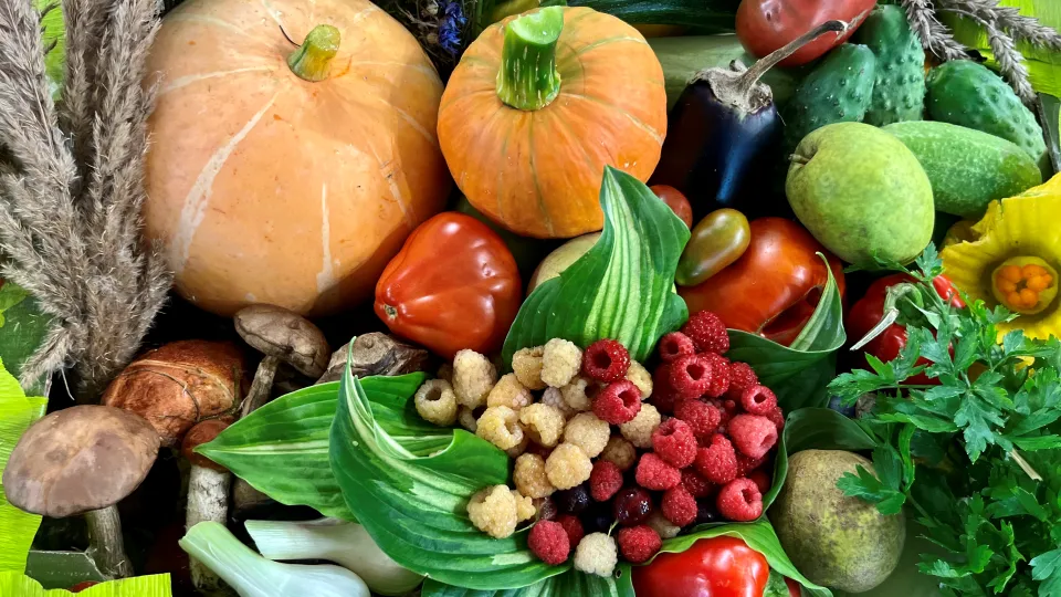 Фото: МедиаБанк Подмосковья/Анна Тюрюмина