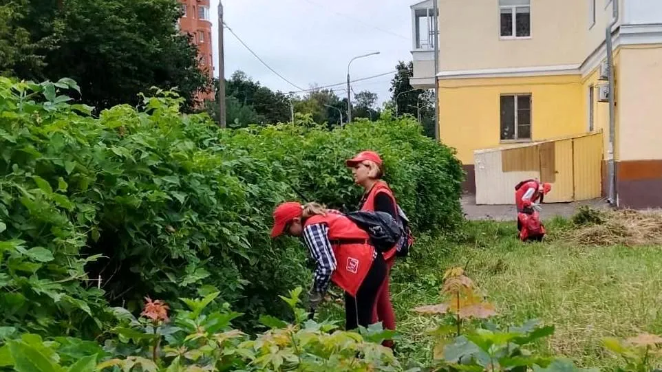 Фото: Администрация г.о. Электросталь