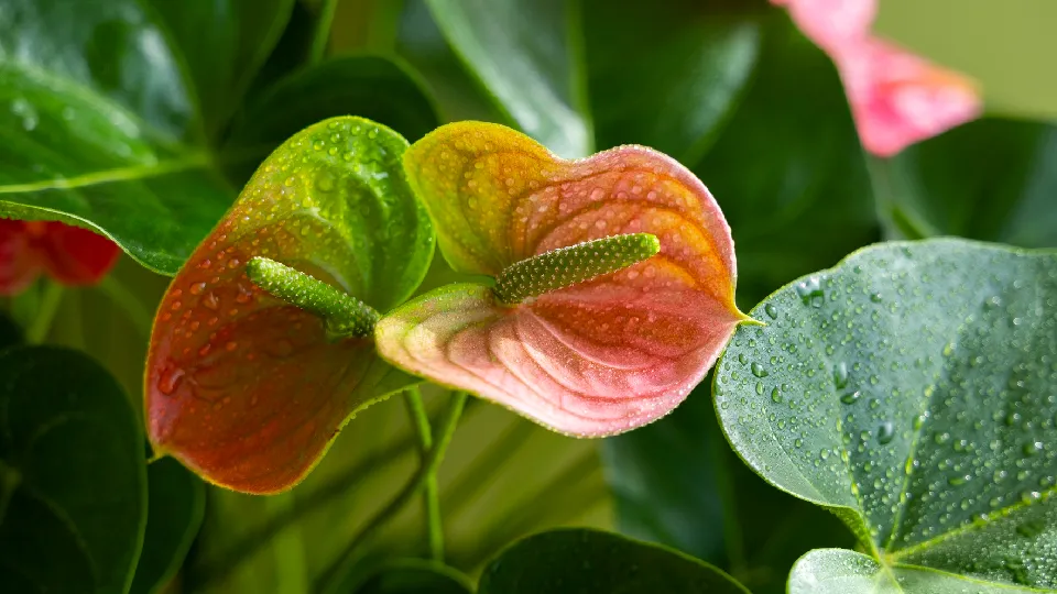 Фото: freepik.com