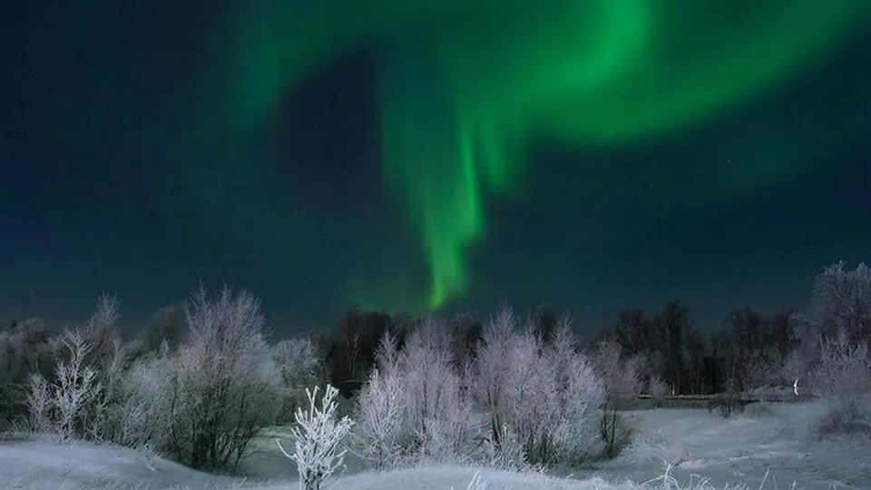 Фото: REGIONS/Сгенерировано нейросетью