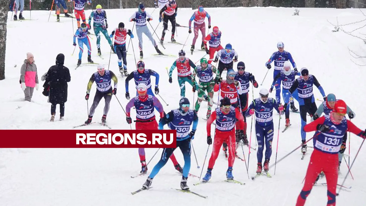 Фото: Дарья Леонова