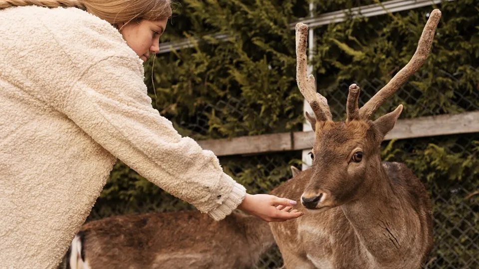 Фото: freepik.com