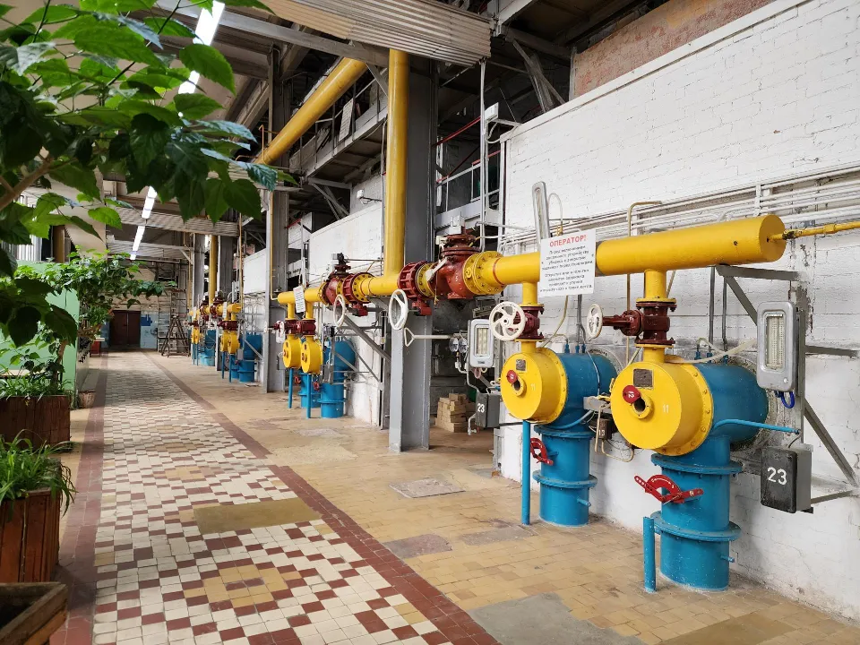 Фото: REGIONS/Ольга Аввакумова