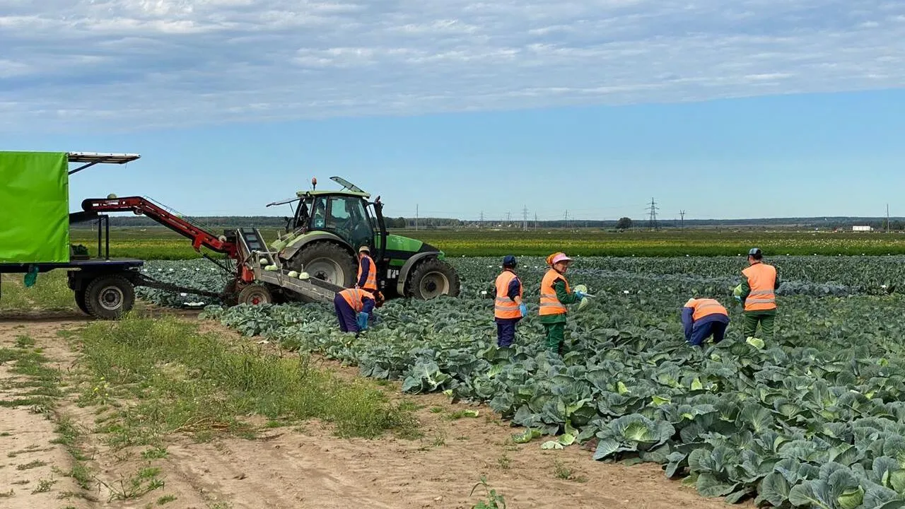 Фото: Пресс-служба Мининвеста МО