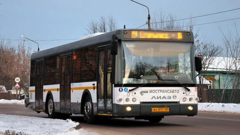 Кокошник, ледобур и березовый веник забыли пассажиры в подмосковных автобусах 