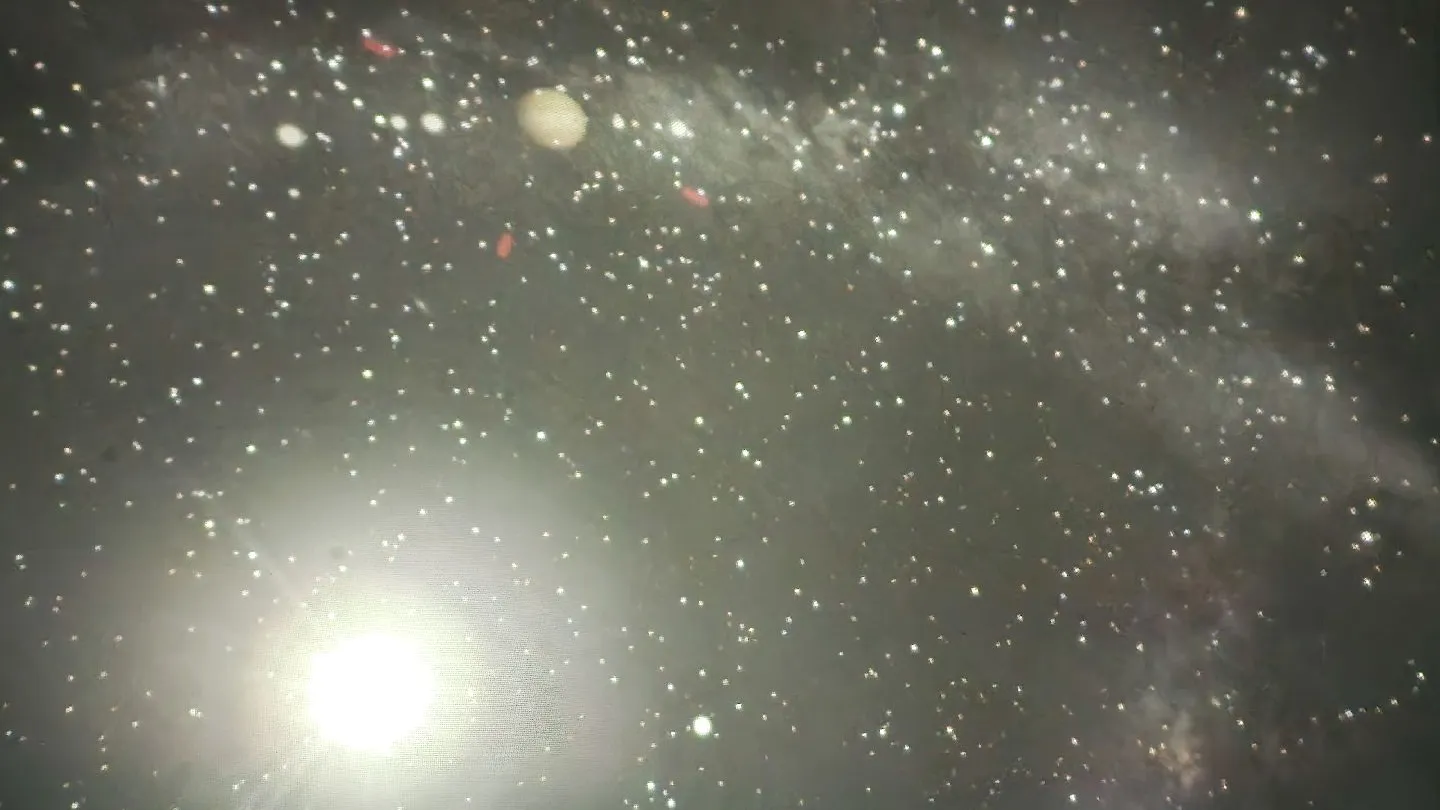 Фото: Медиабанк Подмосковье/Мария Андрюхина