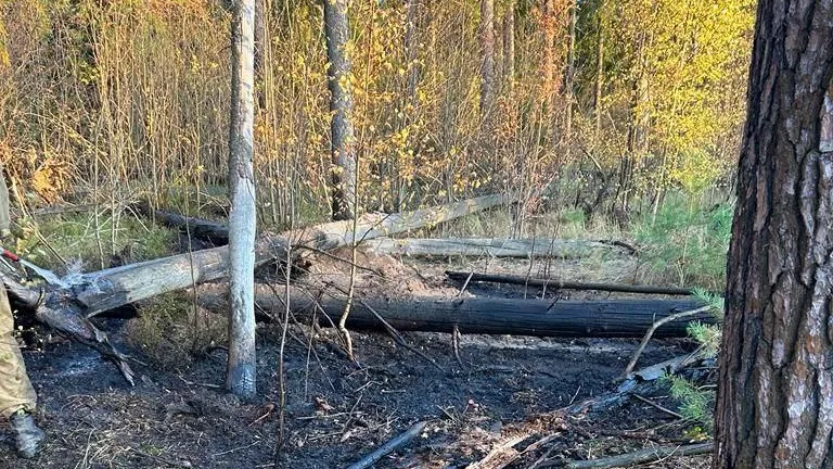 Комитет лесного хозяйства Московской области