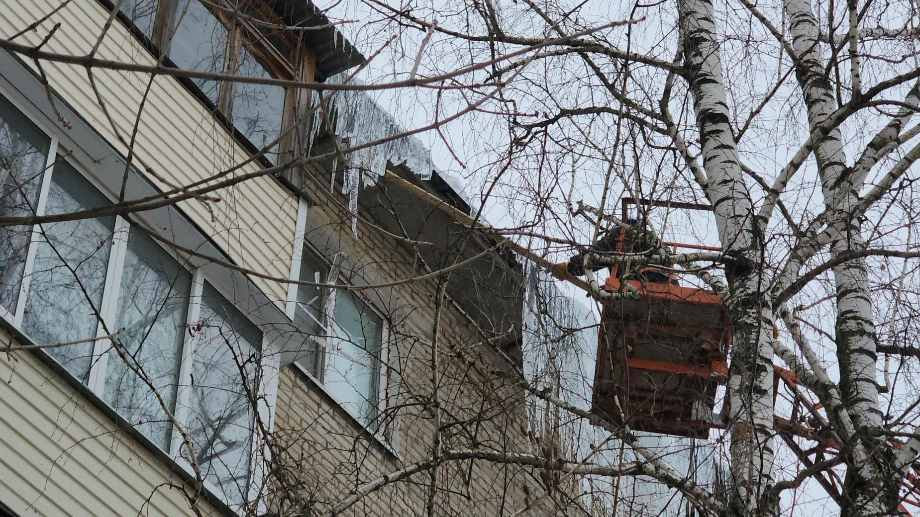 Фото: Светлана Плотникова