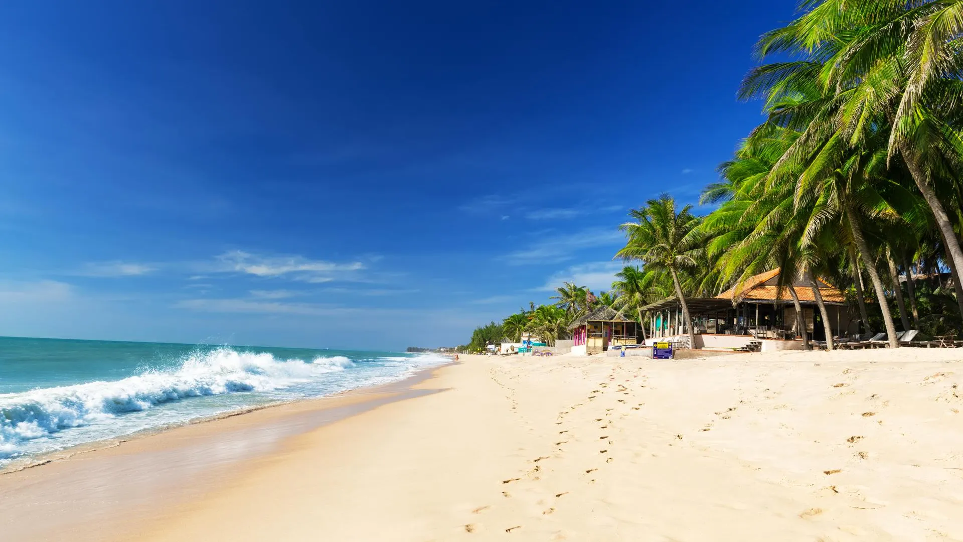 «Огромный змееподобный монстр». Жителей Вьетнама напугал четырехметровый сельдяной король