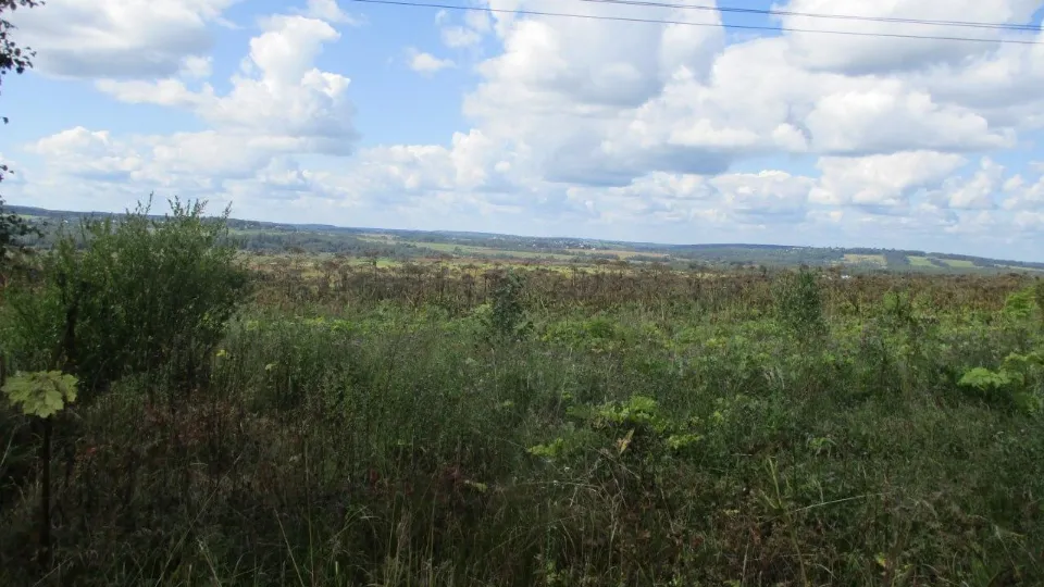 Фото: пресс-служба Россельхознадзора