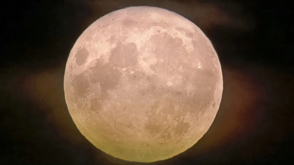 Фото: МедиаБанк Подмосковья/Яна Шаливская