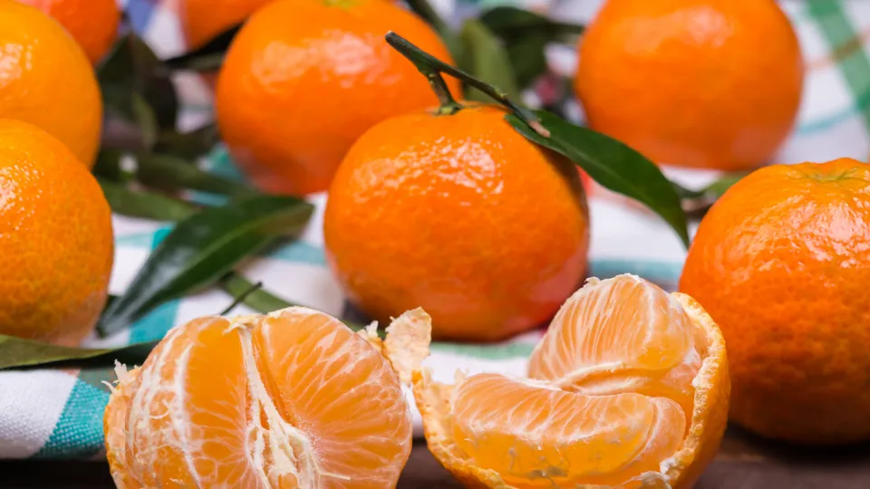 Фото: istockphoto.com/suslik83