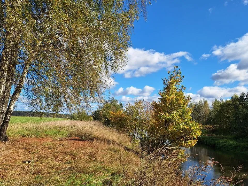 Фото: REGIONS/Максим Зубарев