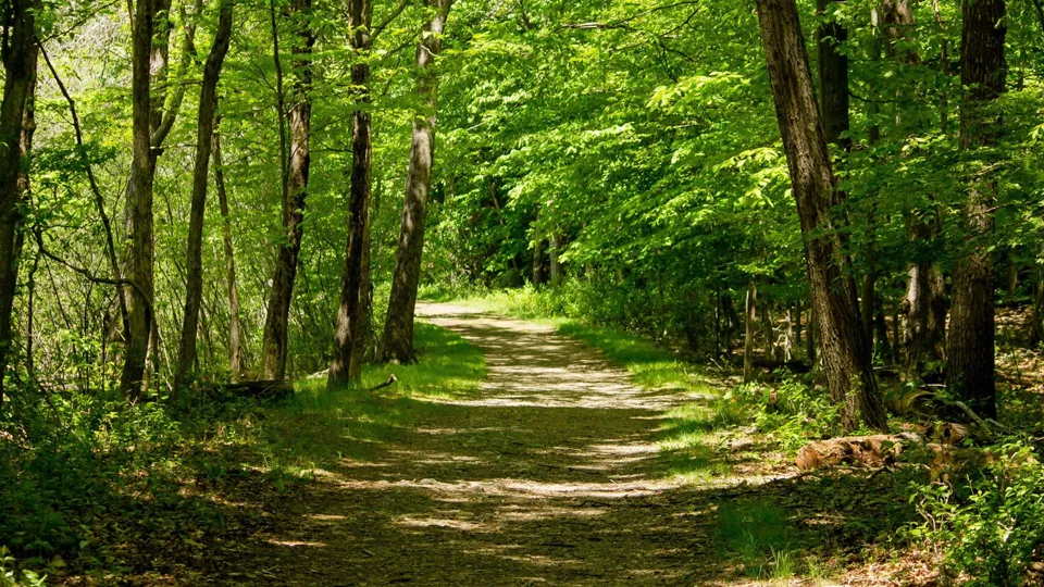 Фото: freepik.com