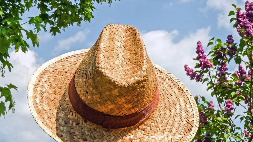 Фото: pxhere.com