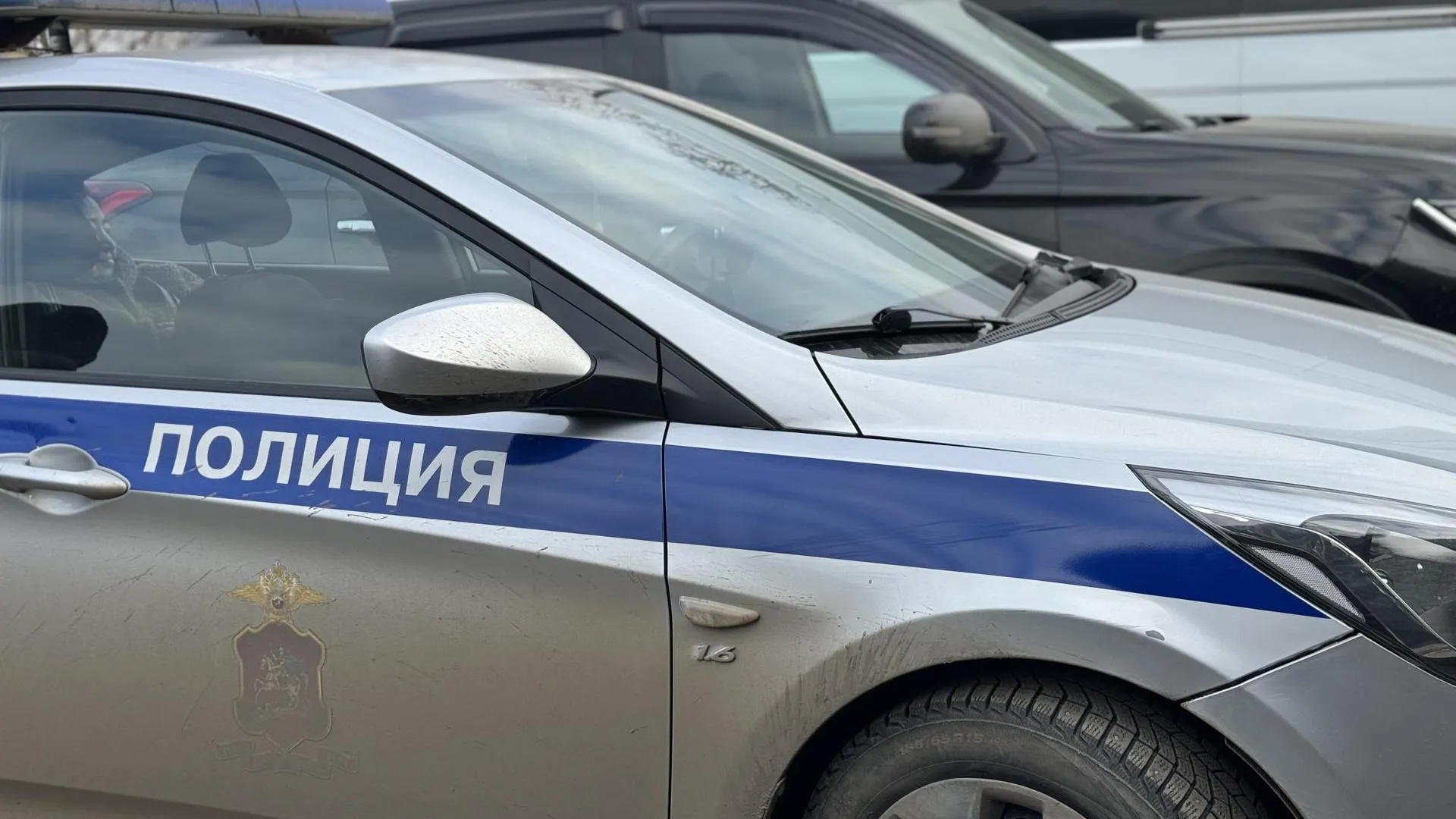 Фото: Полина Абраменко