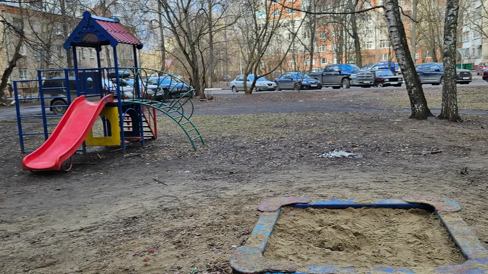 Фото: Ольга Вельшикаева