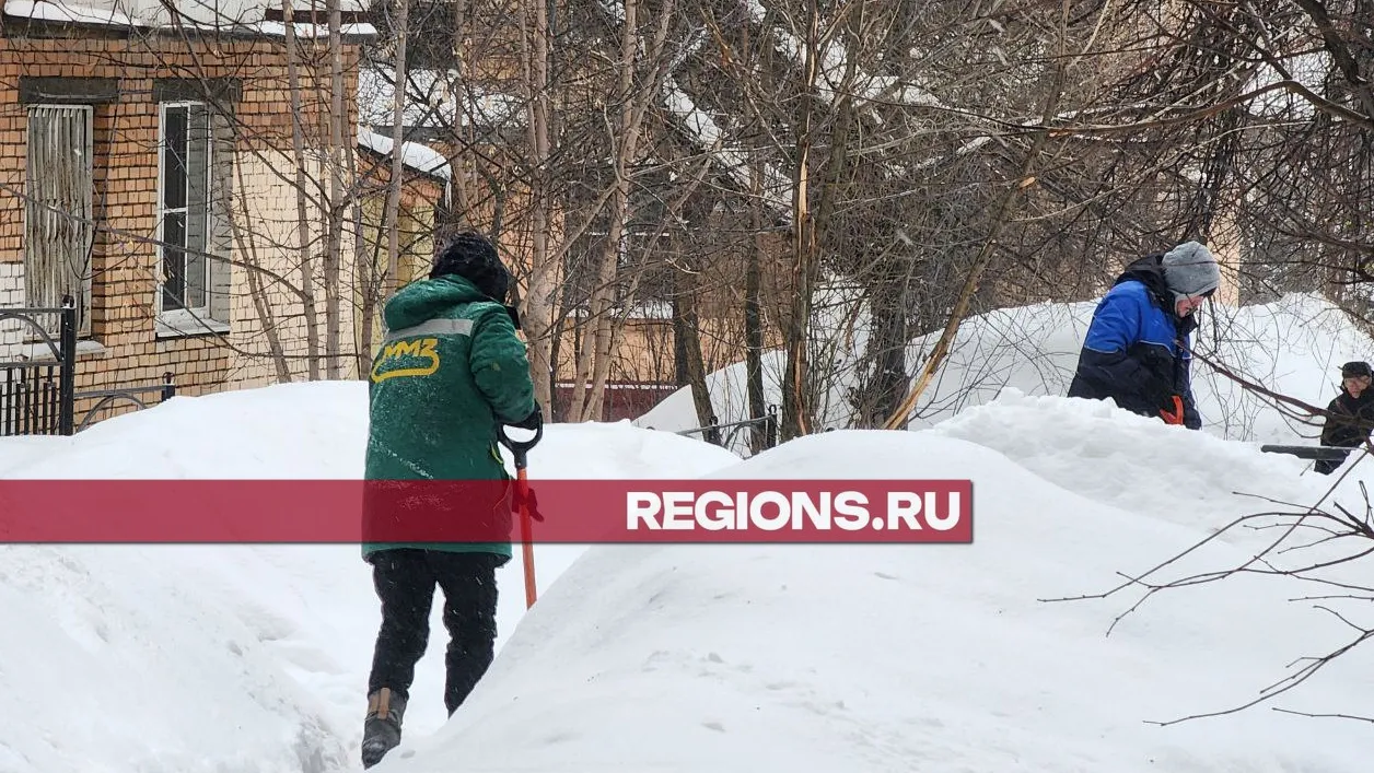 Фото: Роман Яковлев