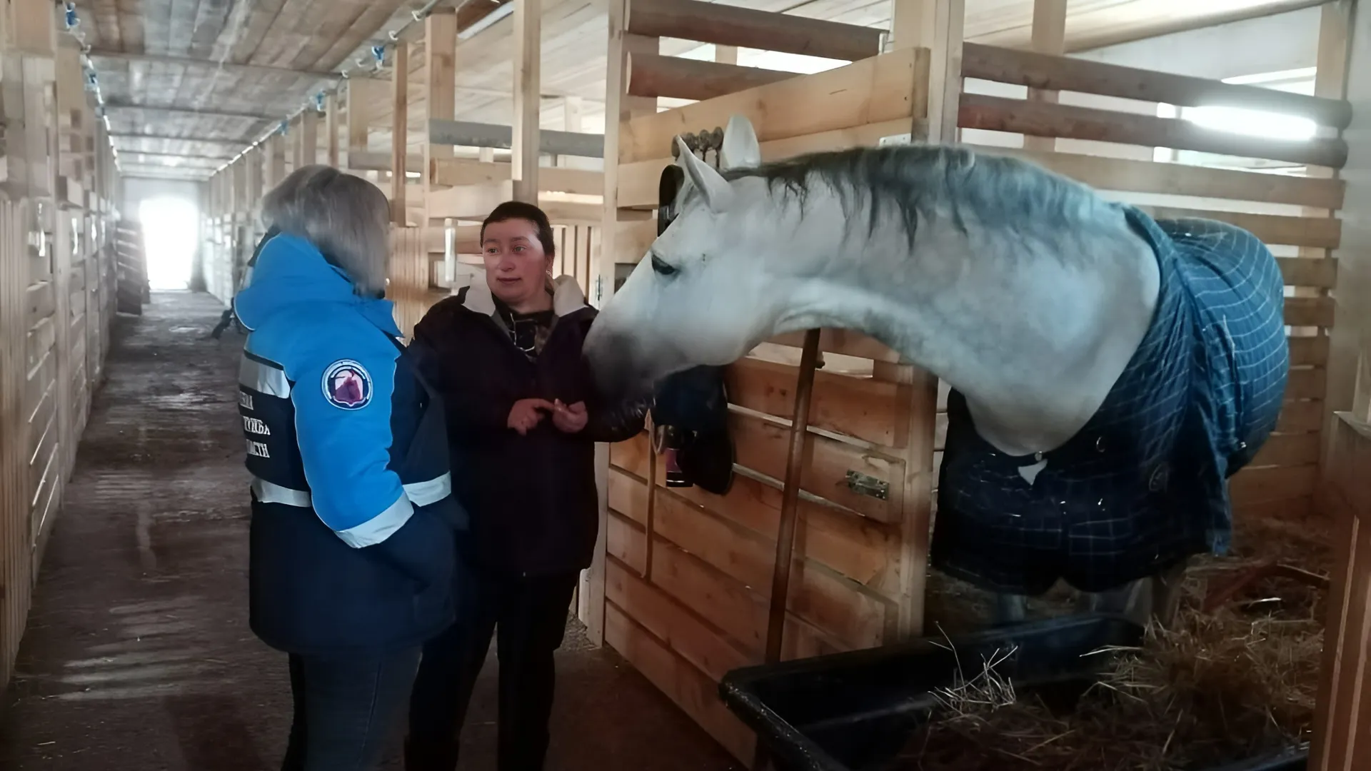 Фото: ГБУВ МО «Терветуправление N1»