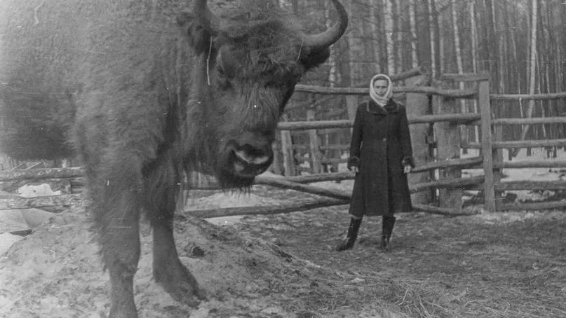 Фото: Приокско-террасный заповедник