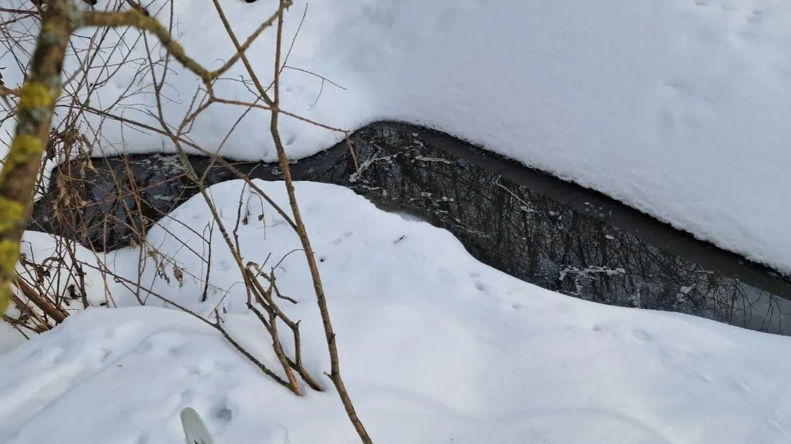 Фото: Юлия Смагринская