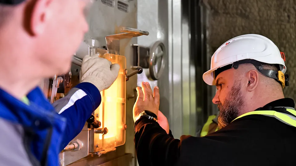 Фото: пресс-служба губернатора и правительства Московской области