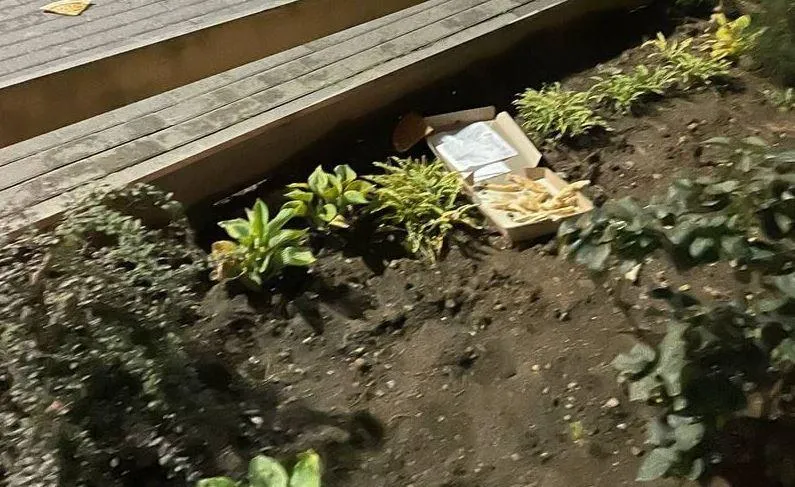 Фото: ТГ-канал «Видное Город Новости»