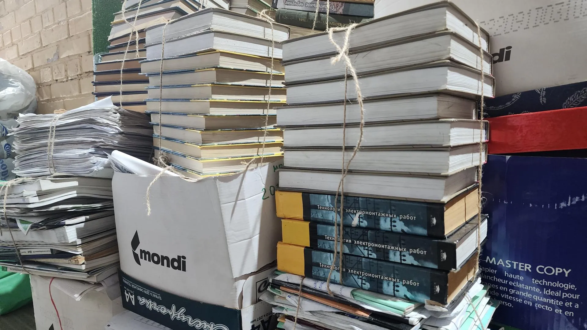 Ксения Пашуто