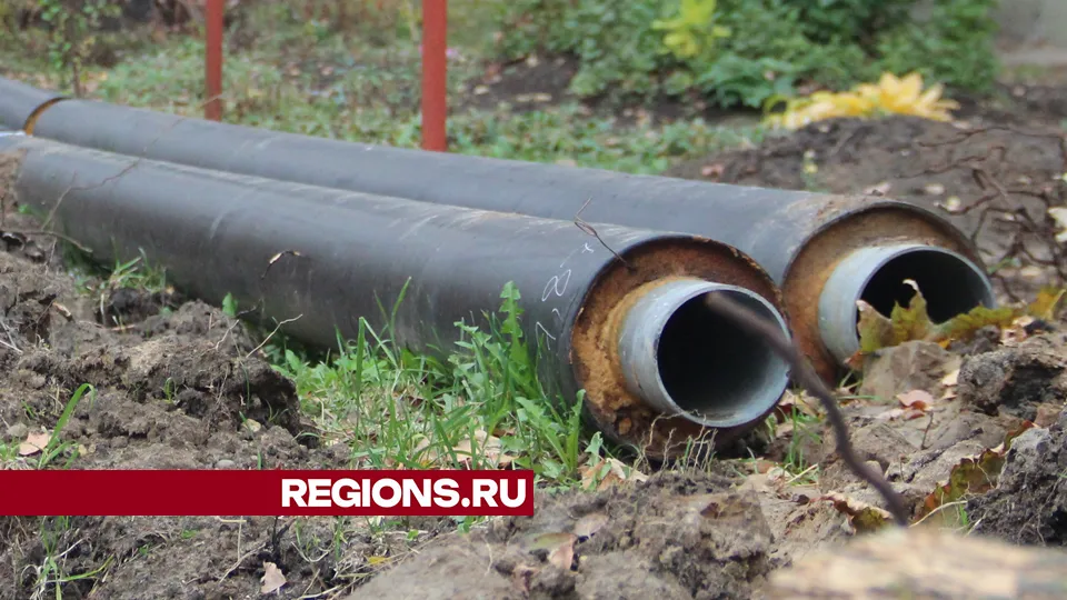 Фото: REGIONS/Василий Тремасов