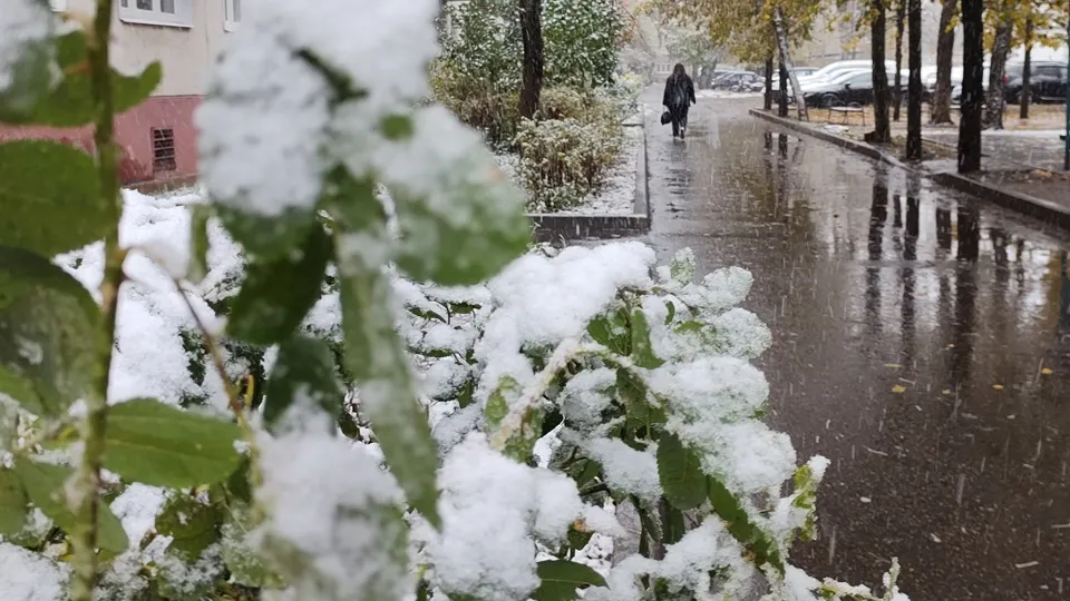 Фото: REGIONS/Алексей Селиверстов