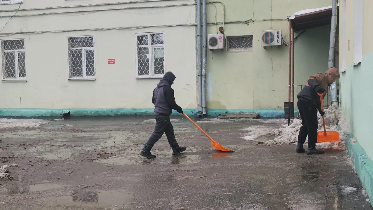 МедиаБанк Подмосковья/Наталья Лымарь