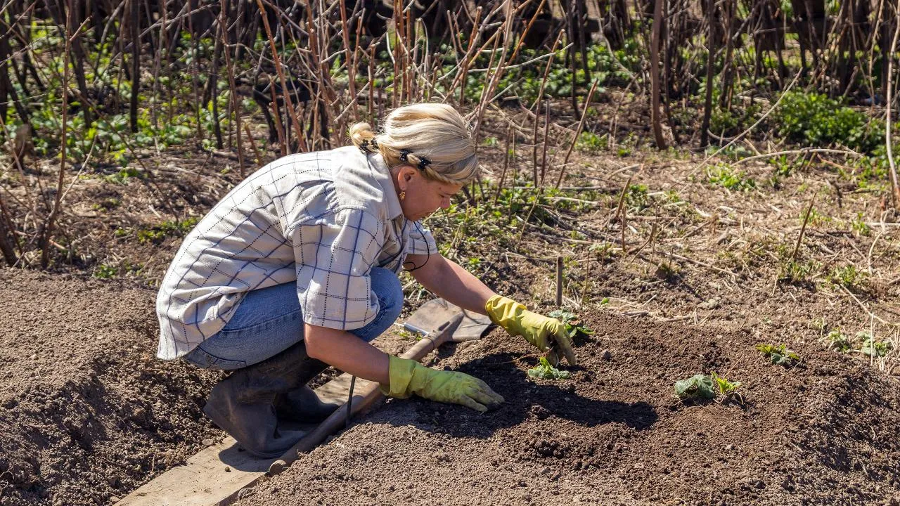 istockphoto.com/Evgeny Tkachev