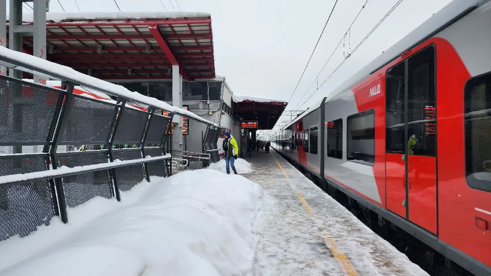 Фото: Медиабанк Подмосковья/Дарья Савинова