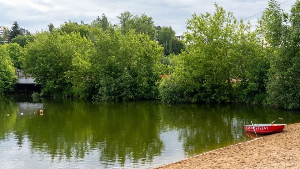 Фото: медиасток.рф