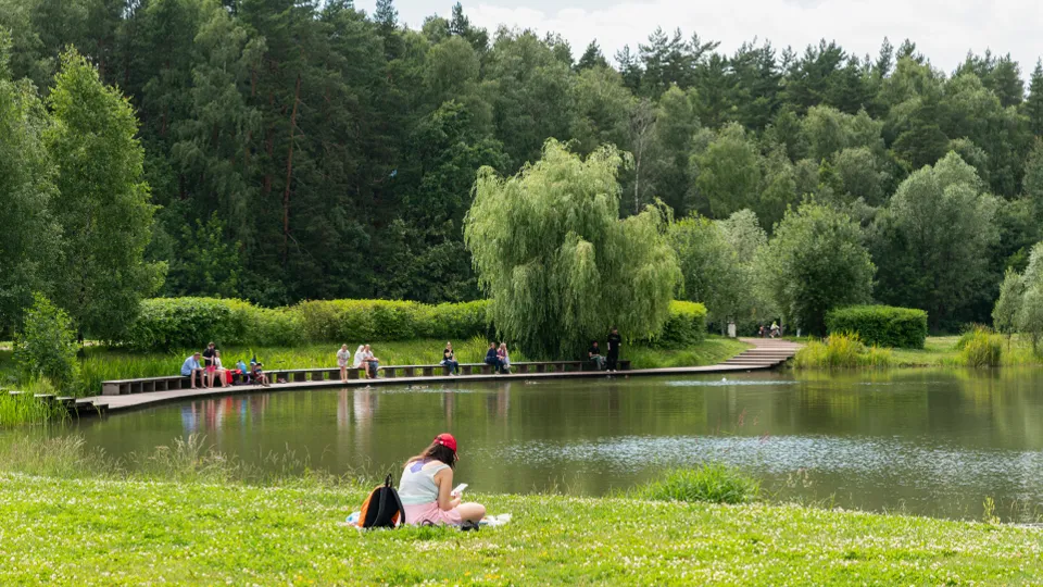 Фото: медиасток.рф