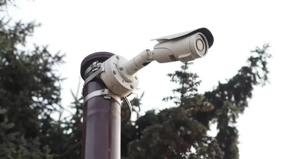 Фото: пресс-служба правительства Московской области