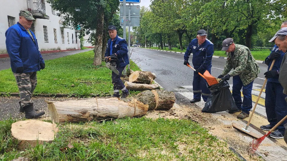 Наталья Дорошева